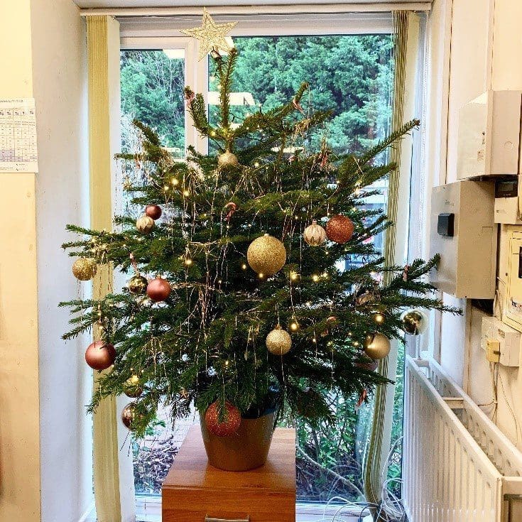 Irish Groupage Christmas tree